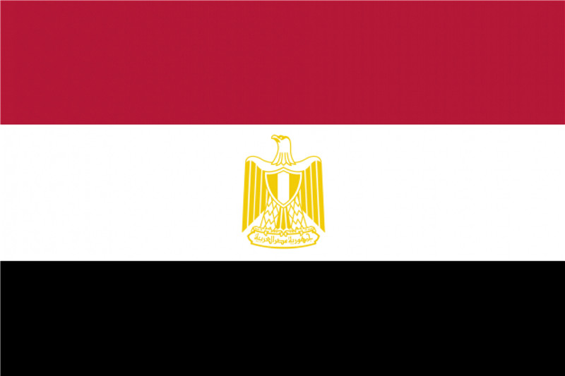 世界记忆运动理事会全球理事单位