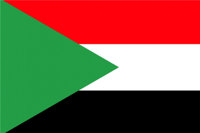 世界记忆运动理事会全球理事单位