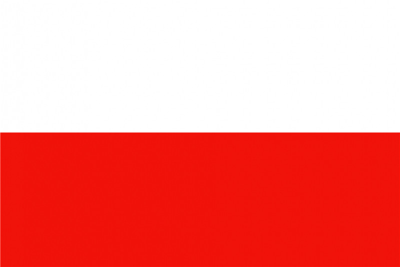 世界记忆运动理事会全球理事单位