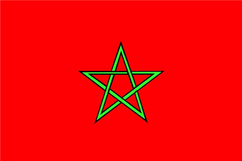 世界记忆运动理事会全球理事单位