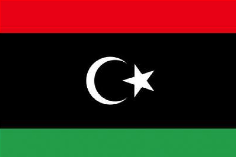 世界记忆运动理事会全球理事单位